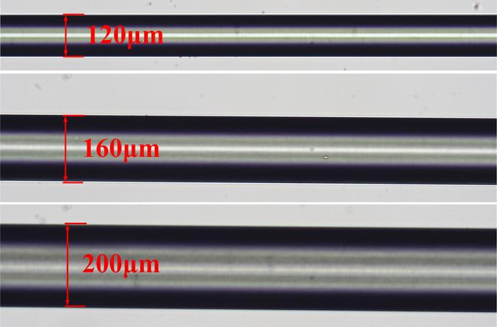 Image of hydrogel fibers