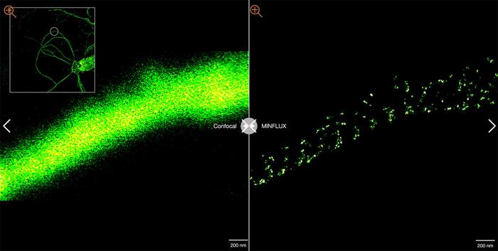 MINFLUX Microscopy Image