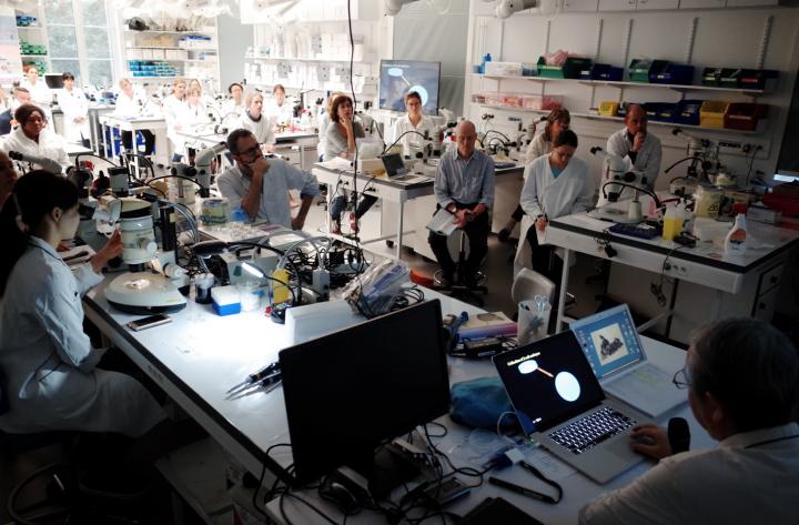 CARD-IP Cryo-Course, Paris 2016: Practice Lab