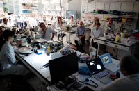 CARD-IP Cryo-Course, Paris 2016: Practice Lab