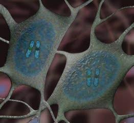 Topoisomerase Inhibitors Unsilence/Reactivate/Turn on Angelman Syndrome Gene
