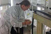 Madelyn Woods Working in Lab