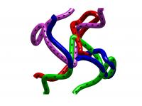 Spin Spaghetti