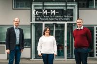 Photo: The authors