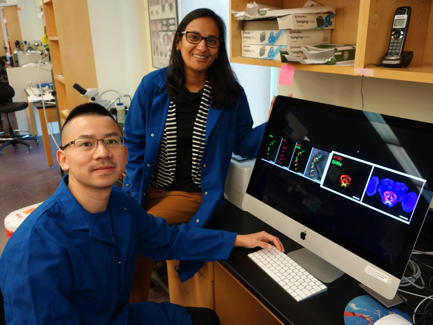 Yu-Chieh David Chen and Anupama Dahanukar, University of California - Riverside 