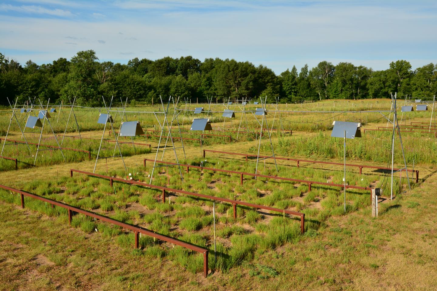 Experimental Meadow Plots with Heating Lamps