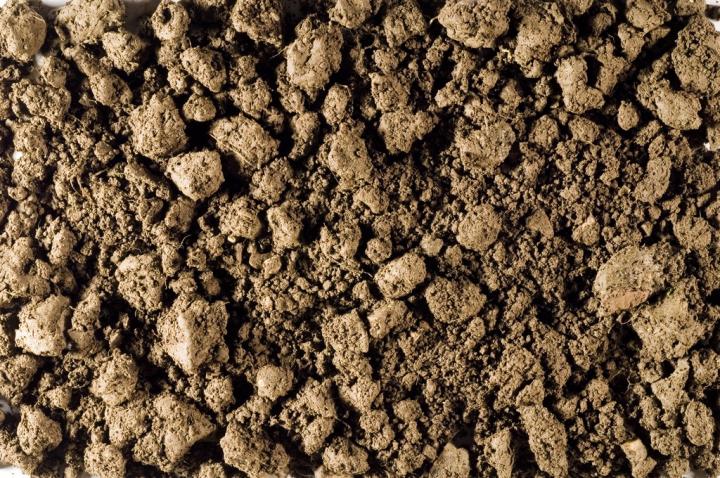 Top Soil