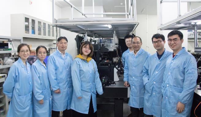 Research Team