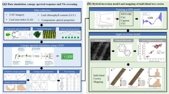 Figure 2. Chlorophyll content retrieval framework.