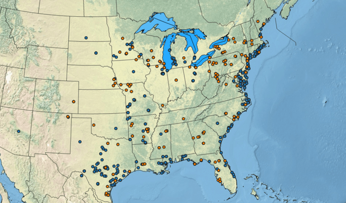 More Genome Copies in Switchgrass Linked to More Climate Flexibility and Adaptation