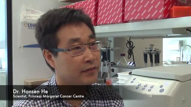 Prostate Cancer Researchers Pinpoint Regulatory Role of Noncoding Genes in Disease Development