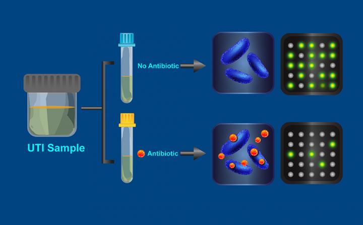 Test Diagram