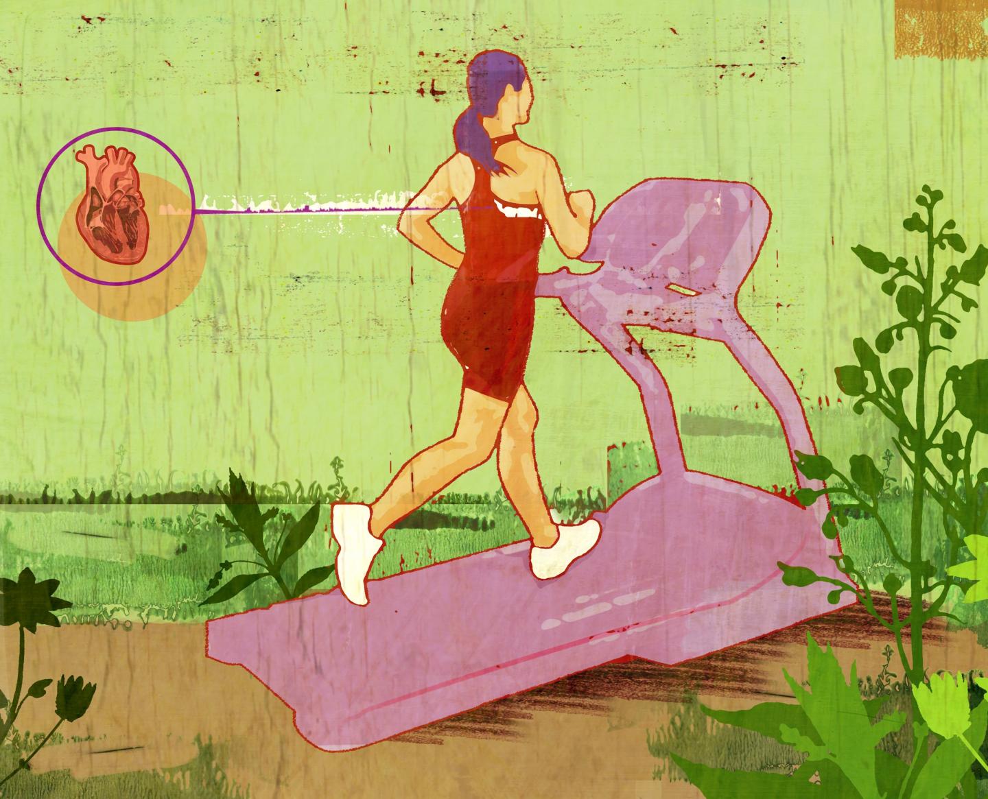 Jogging and Five Other Exercises Ward off Weight Gain Despite 'obesity Genes'