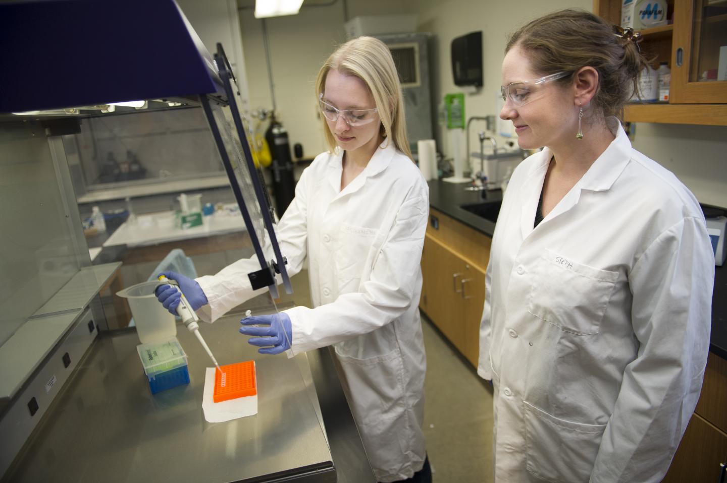 Montana State University Assistant Professor Stephanie McCalla