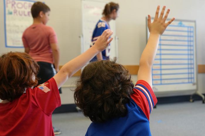 Institute for Autism research summer program
