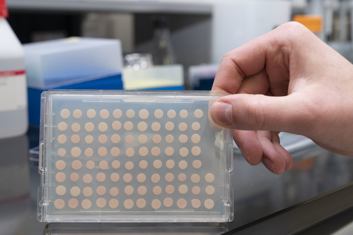 yeast cell sample plate