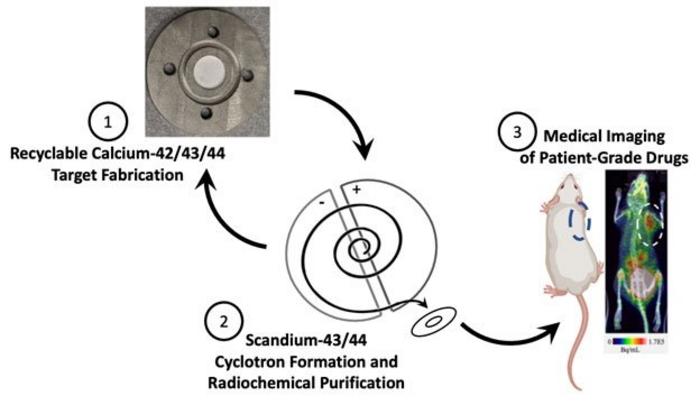 Researchers Improve Production for Short-Lived Scandium Radioisotopes