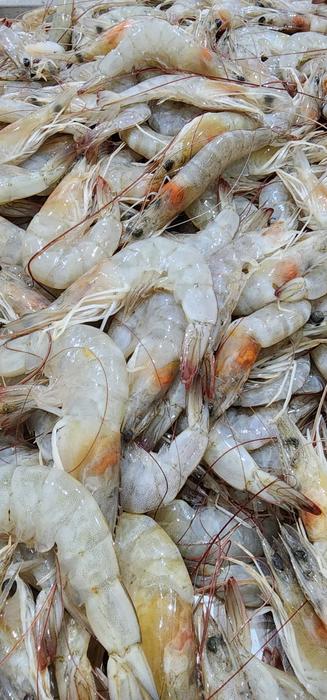White shrimp (pre-processing)