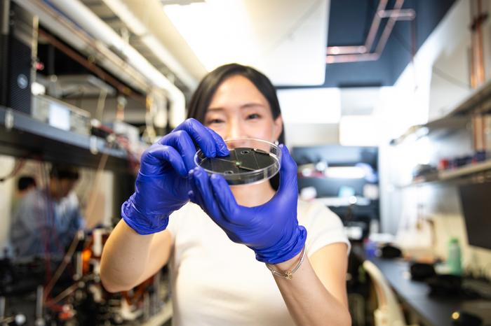 Laura Kim, Ph.D.