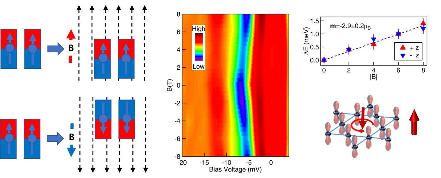 Negative Magnetism