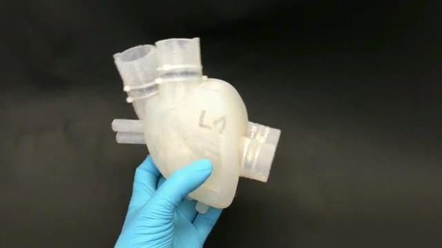 Soft Artificial Heart