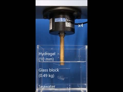 The Hydrogel Gluing to a Glass Block