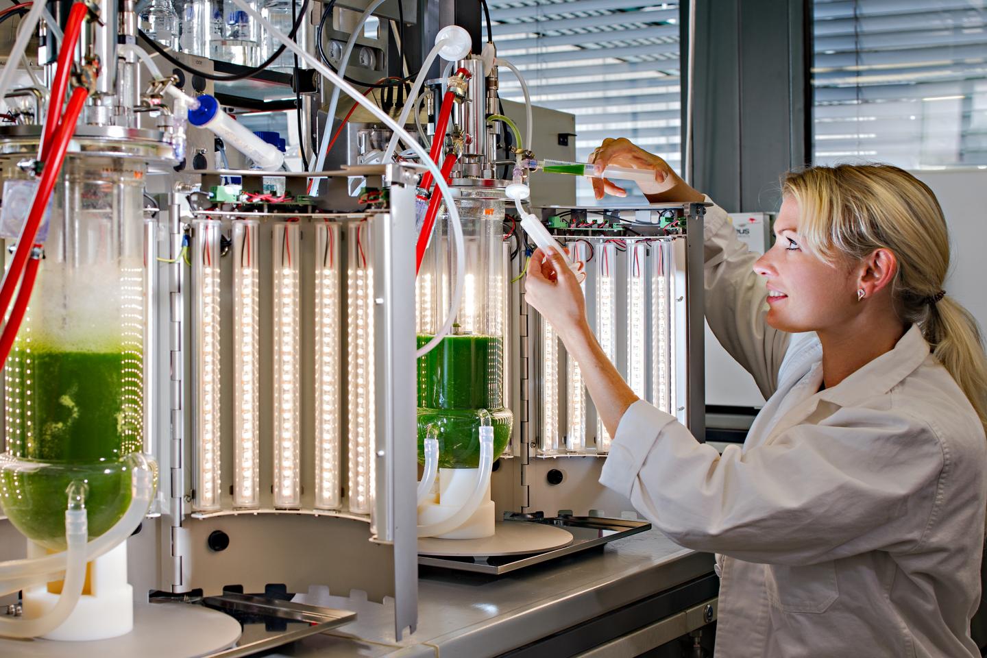 LED-Bioreactor
