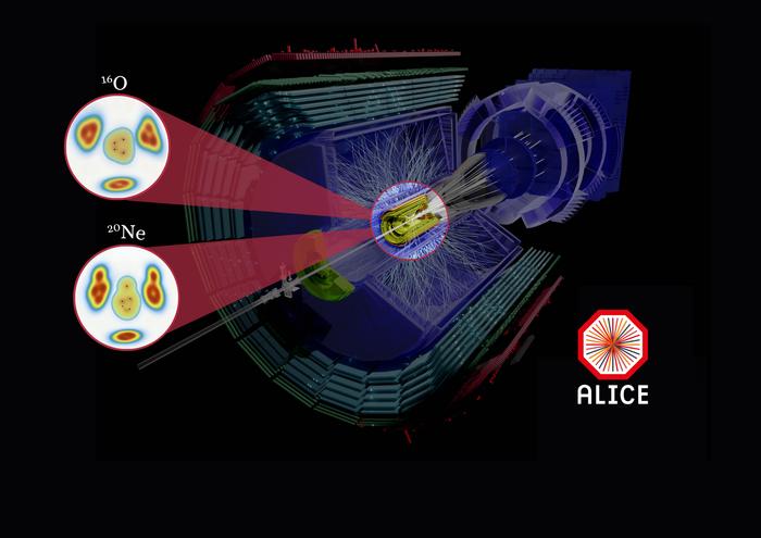 Event display of collisions between Neon-20 and Oxygen-16