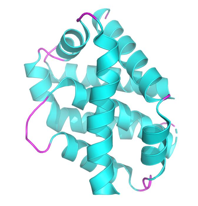 BAX protein