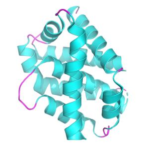 BAX protein