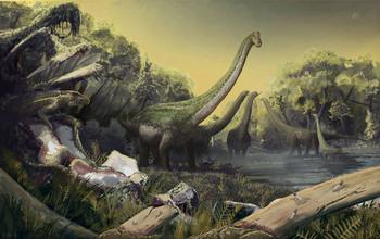 Fossil Remains Recovered from 70 to 100 Million-Year-Old Rocks in Southwestern Tanzania