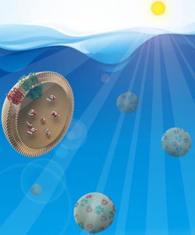 Solar-Powered Antibiotic Filters