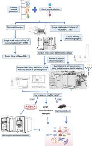 Neu5Gc-associated Serum Immunoglobulin G Glycosylation as a Diagnostic Biomarker for Hepatocellular Carcinoma