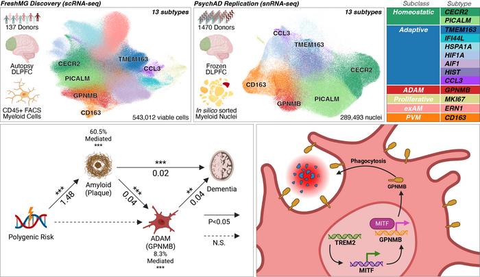 Donghoon Lee graphical abstract