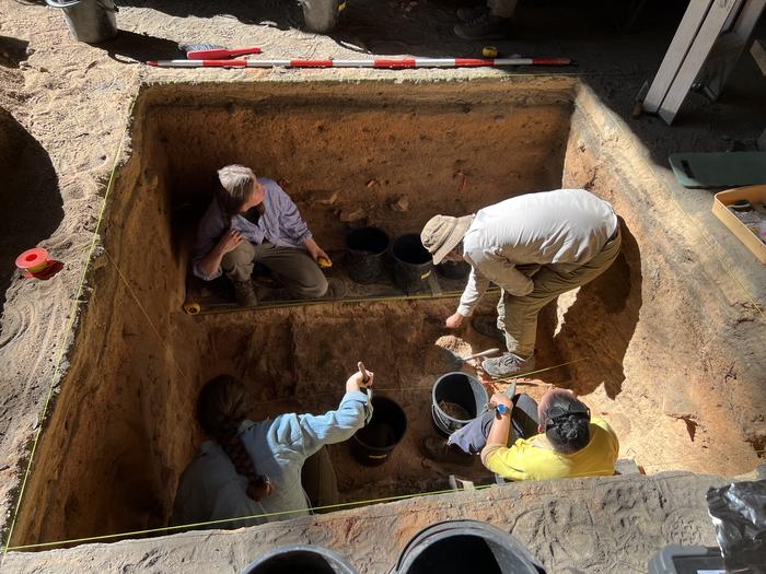 Excavation at Dargan Shelter