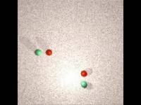 Ant Trail Formation