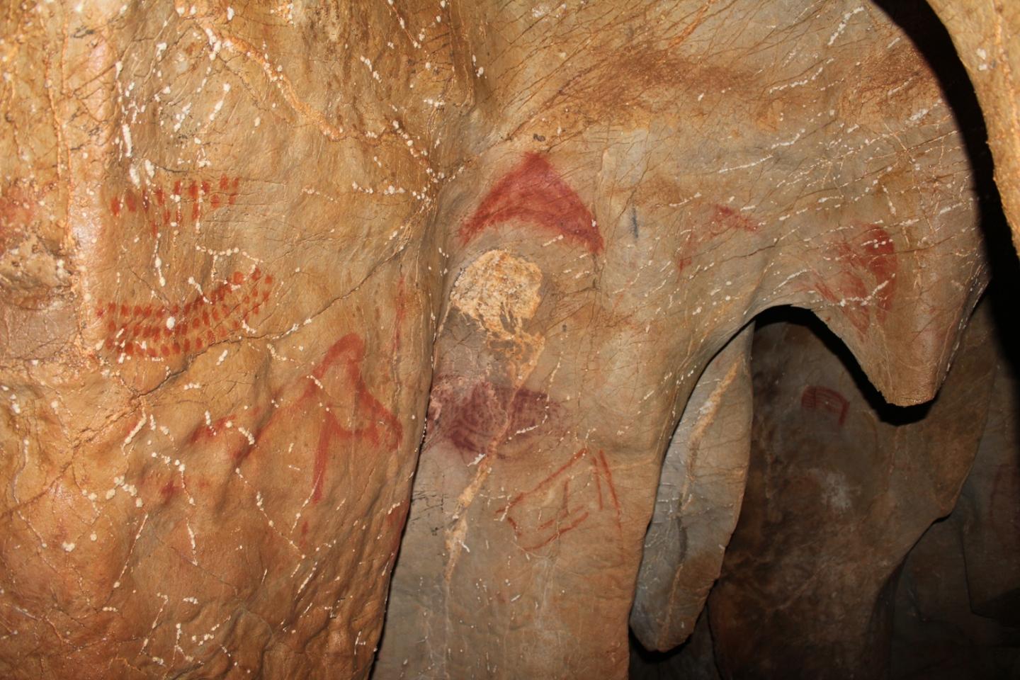A Panel in the Cave at La Pasiego