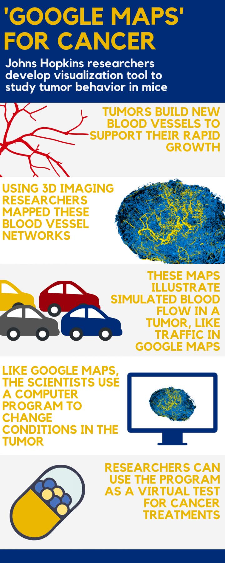 Google Maps for Cancer