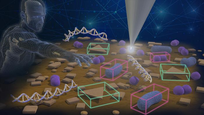 AI-assisted atomic force microscopy identifies tiny surface structures