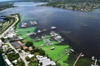 Southeast Florida's St. Lucie Estuary
