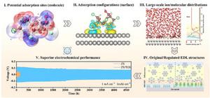 Multiscale Theoretical Calculations Empower Robust Electric Double Layer Toward Highly Reversible Zinc Anode