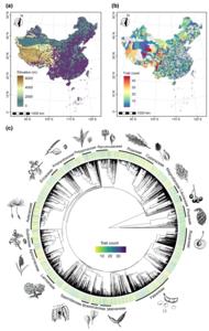 Trait coverage across geography and phylogeny in the Chinese seed trait database