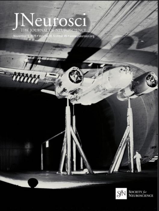 NASA Ames Wind Tunnel, 1945 — A Blueprint for Neuroscience’s Future