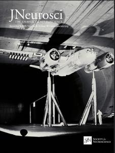 NASA Ames Wind Tunnel, 1945 — A Blueprint for Neuroscience’s Future