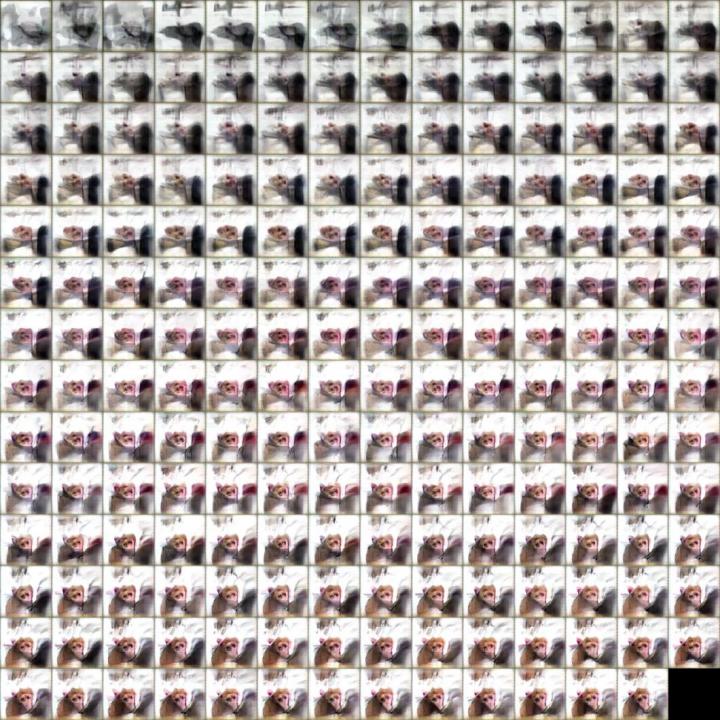Evolution of an AI-generated Image