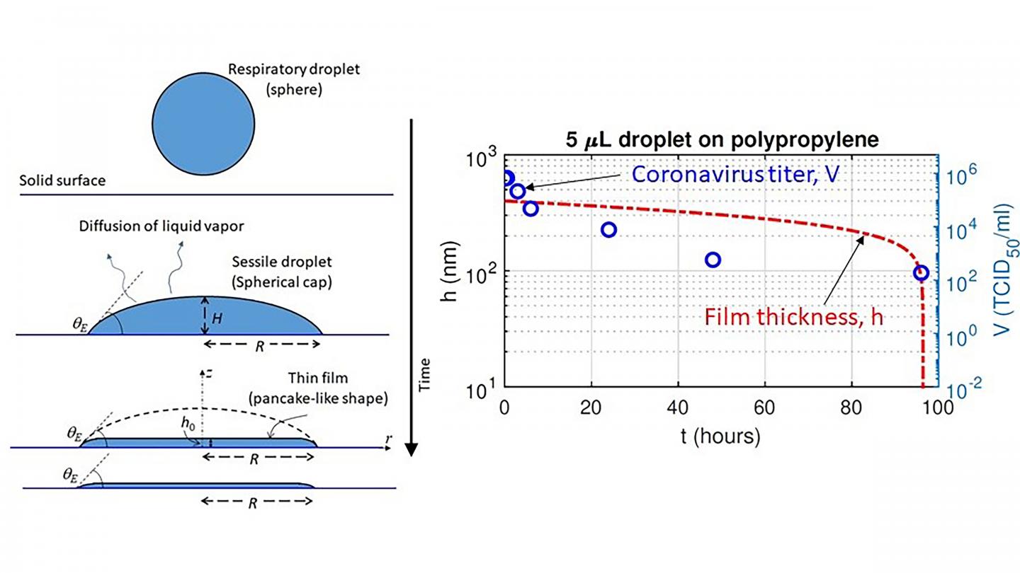 Schematic of a thin liquid film drying on a surface