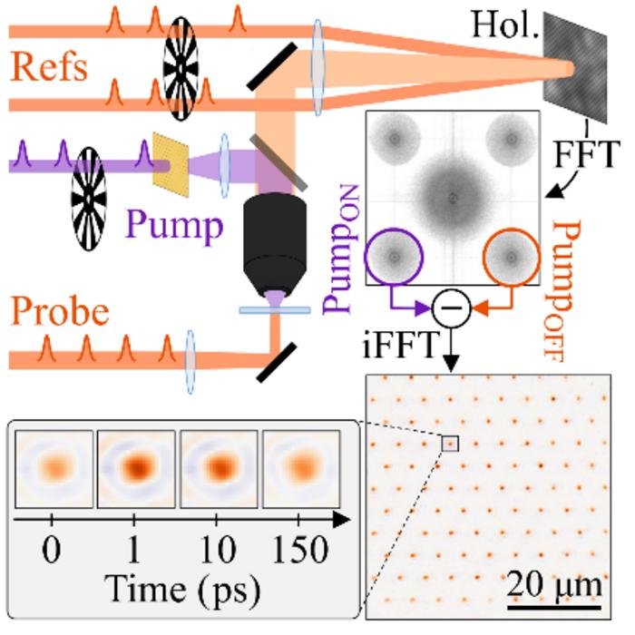 Sketch of the imaging and holographic part of the transient holographic microscope, including the trains of pulses to illustrate the signal modulation approach.