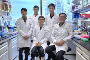 NTU researchers developed new inhaled therapy to reduce lung damage from severe infections