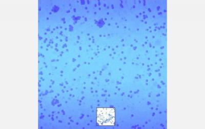 NSF and EPA Establish 2 Centers for Environmental Implications of Nanotechnology (2 of 3)
