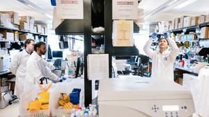 Mapping the Genes That Influence HIV
